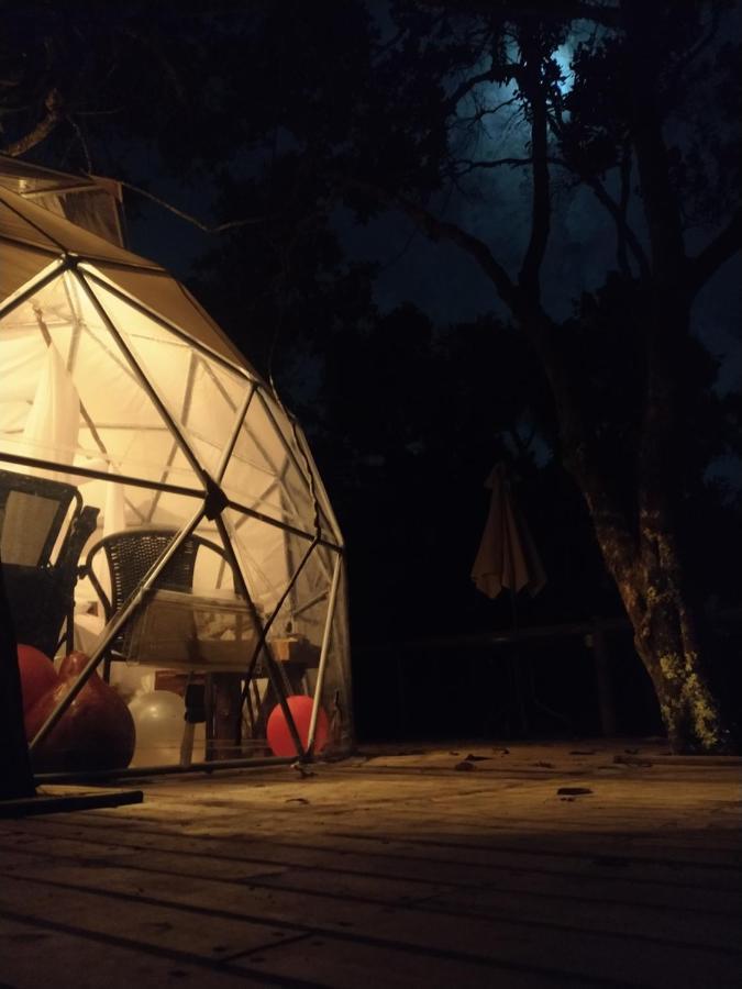 Celeste Glamping Guatapé Hotel Eksteriør billede