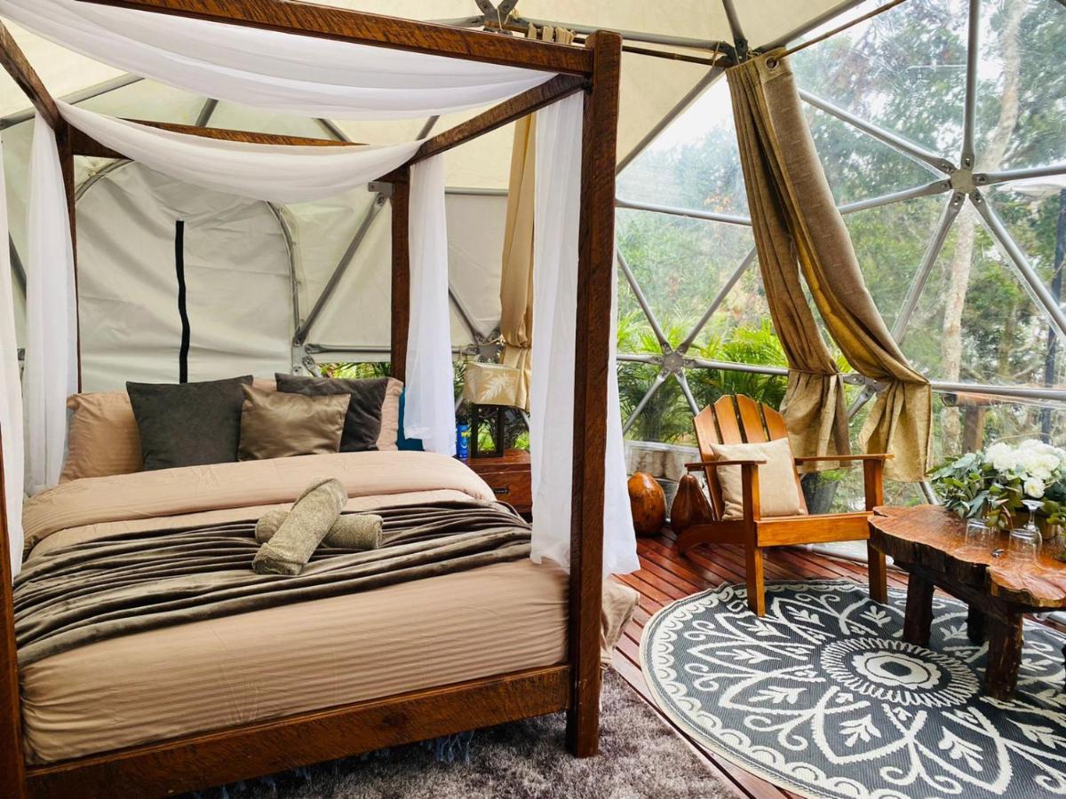 Celeste Glamping Guatapé Hotel Eksteriør billede
